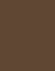 Chestnut color swatch
