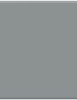Everest Grey color swatch