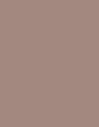 Taupe color swatch